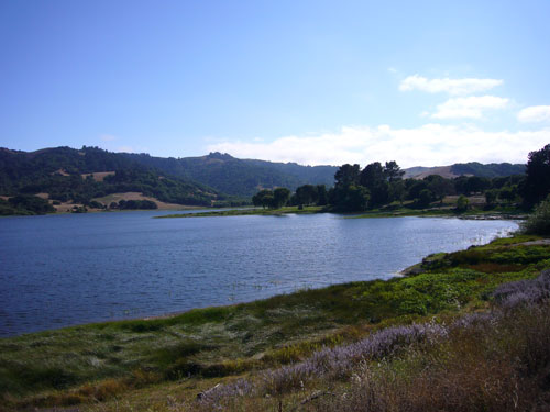 Novato California